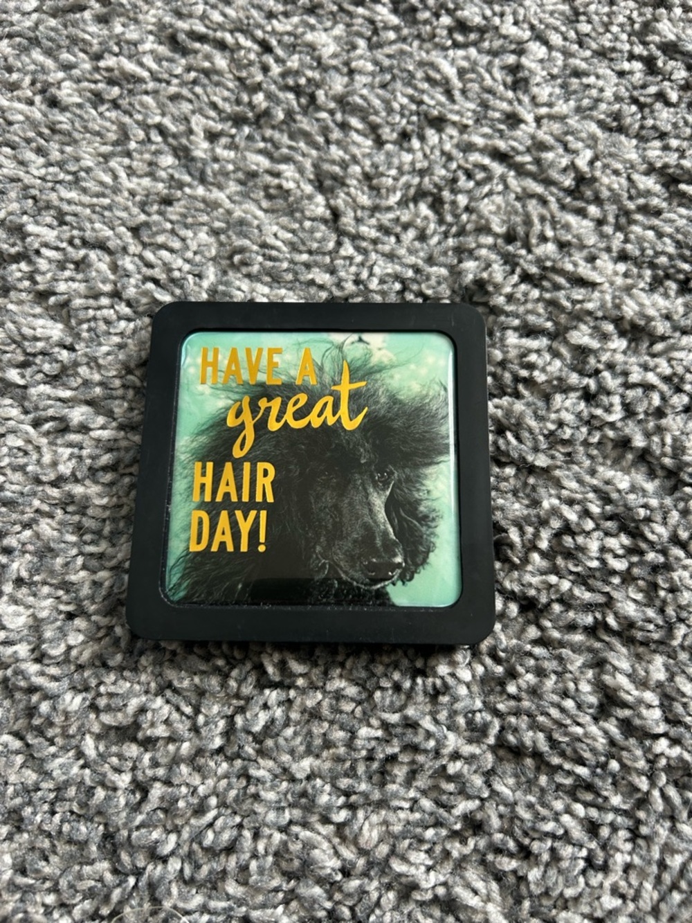 Have a Great Hair Day! Compact Magnet - Black